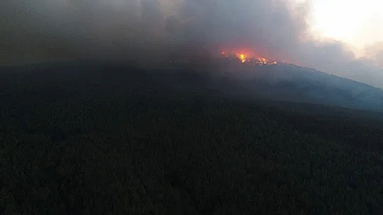 Aydın-Muğla sınırında başlayan orman yangına müdahale sürüyor