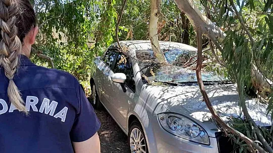 Azmak keyfi pahalıya patladı