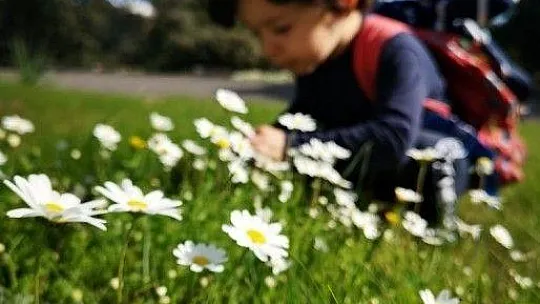 Baharın müjdecisi ilk cemre havaya düştü