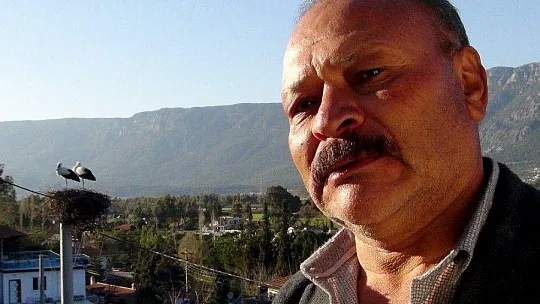 Baharın müjdecisi Leylekler geldi