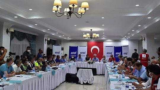 Bakan Soylu ve Pakdemirli orman yangınlarındaki son durumu açıkladı