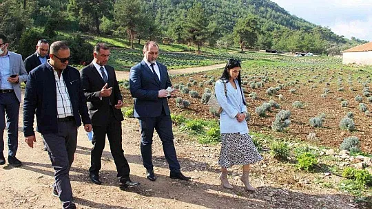 Bakan Stijovic Bodrum'daki tohum merkezine hayran kaldı
