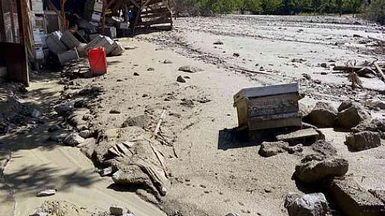 Bal üretiminde rekolte beklentisi arttı