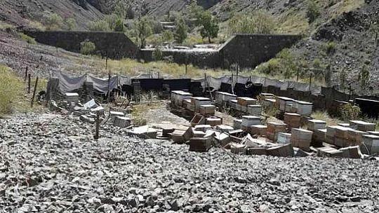 Bal üretiminde rekolte beklentisi arttı