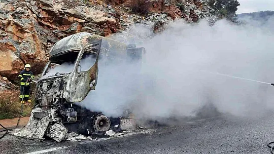 Balık yemi yüklü kamyon tamamen yandı
