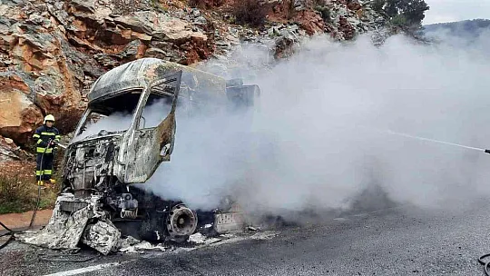 Balık yemi yüklü kamyon tamamen yandı