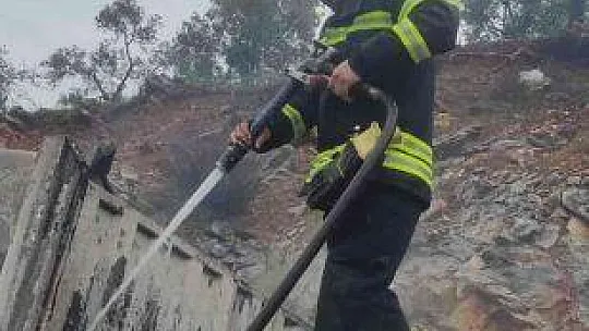 Balık yemi yüklü kamyon tamamen yandı