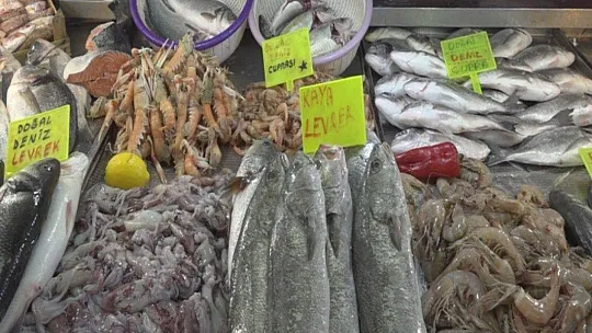 SEZONUN İLK BALIKLARI TEZGAHLARDA