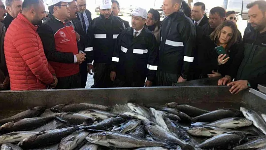 Balıkçılar ağı tarladan çekti