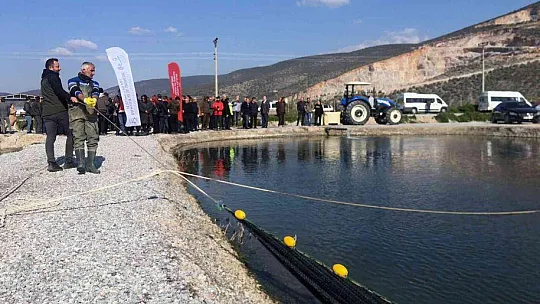 Balıkçılar ağı tarladan çekti