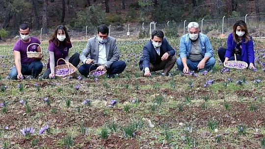 Barış Saylak 'Muğla endemik bitki zengini'