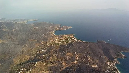 Başkan Aras: 15 bin hektar yandı