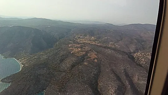 Başkan Aras: 15 bin hektar yandı