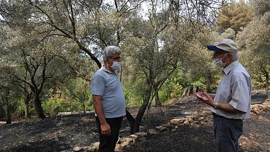 Başkan Atıcı, yanan alanları inceledi