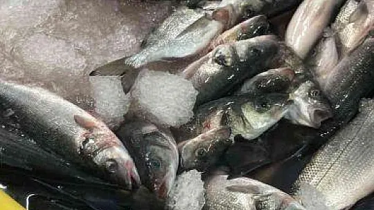 Başkan Keleş, İzmir ve Muğla'da teknik geziye katıldı