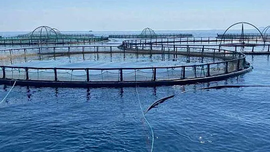 Başkan Keleş, İzmir ve Muğla'da teknik geziye katıldı
