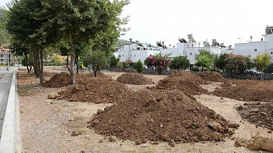 Başkan Oktay, Park ve Bahçeler Müdürlüğü'nün çalışmalarını inceledi