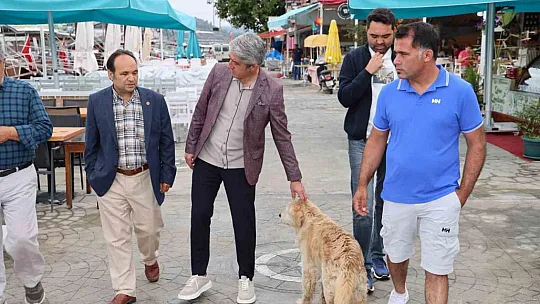 Başkan Oktay, incelemelerde bulundu