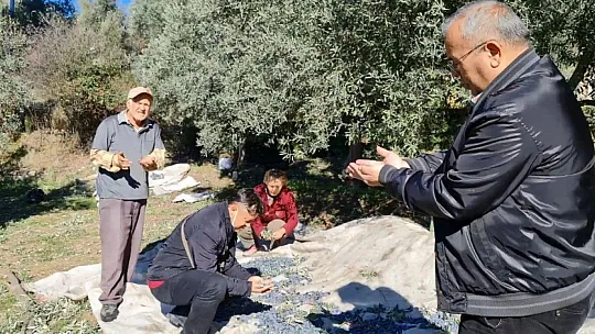 Zeytin üreticisine bahçede eğitim