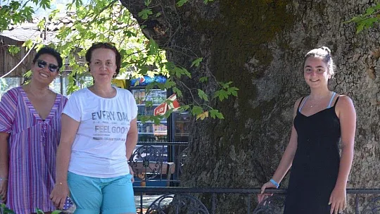 Bayır Mahallesi'nin simgesi çınar ağacı asırlara meydan okuyor