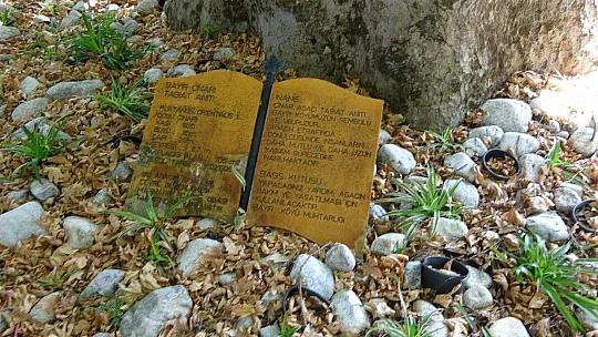 Bayır Mahallesi'nin simgesi çınar ağacı asırlara meydan okuyor