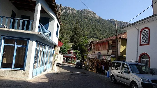 Bayır Mahallesi'nin simgesi çınar ağacı asırlara meydan okuyor