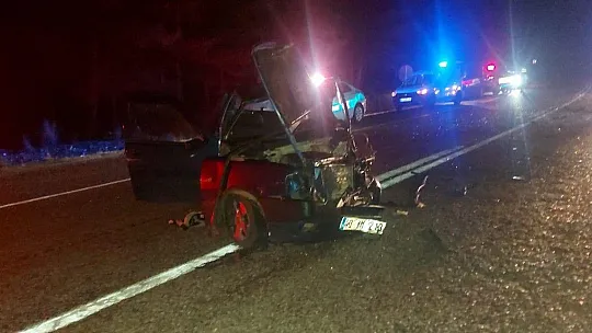 Araç içerisinden itfaiye yardımıyla çıkabildiler