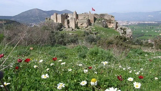 Beçin'in kalıcı listeye alınması için girişim başlatıldı