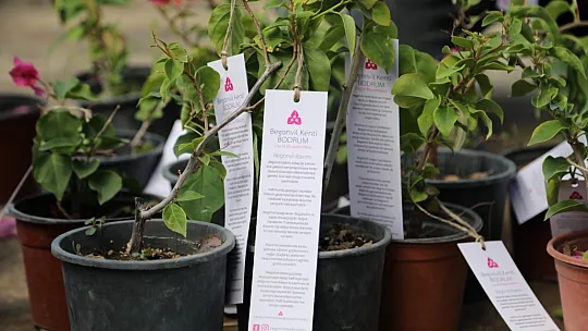 Begonvil Kenti Bodrum Projesi Adım Adım Halkla Buluşuyor