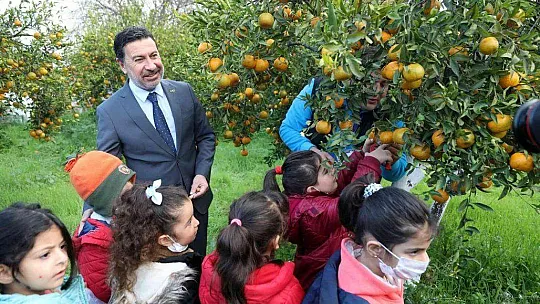 BELEDİYE, ELDE KALAN MANDALİNALARI SATIN ALACAK