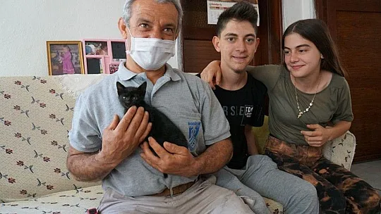 Belediye ekipleri yavru kedi için seferber oldu