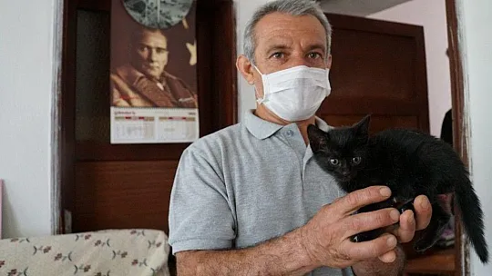Belediye ekipleri yavru kedi için seferber oldu