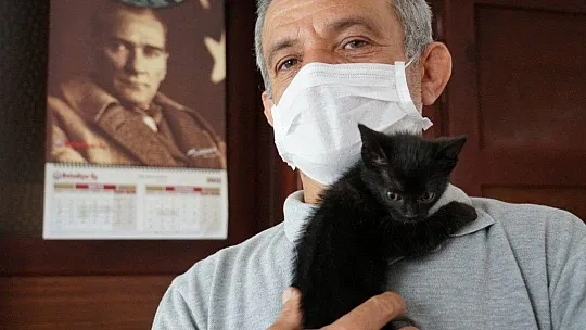 Belediye ekipleri yavru kedi için seferber oldu
