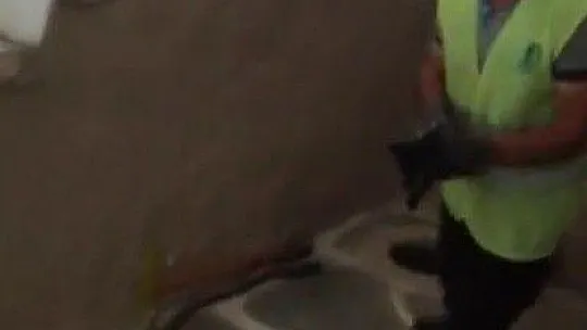 Belediye ekipleri yavru kedi için seferber oldu