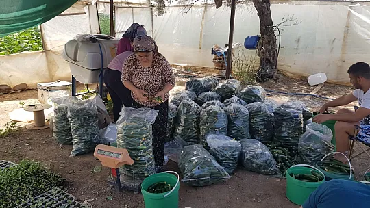 Belediye, tezgaha çıkarılamayan ürünleri halka ulaştırıyor