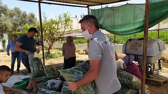 Belediye, tezgaha çıkarılamayan ürünleri halka ulaştırıyor