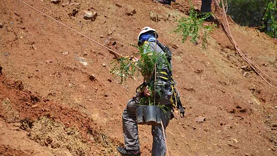 Bellerine bağladıkları halatlarla, fidan diktiler