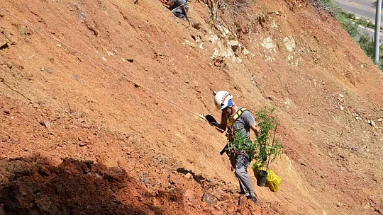 Bellerine bağladıkları halatlarla, fidan diktiler