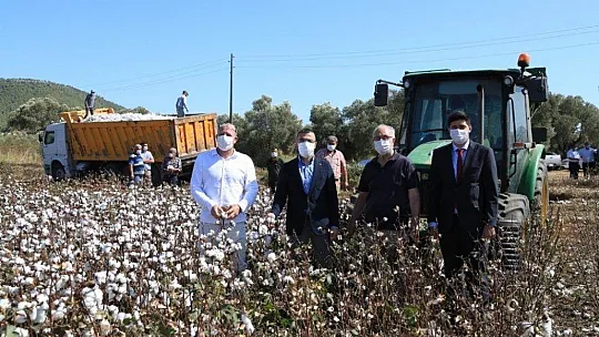 Beyaz altında hasat dönemi başladı