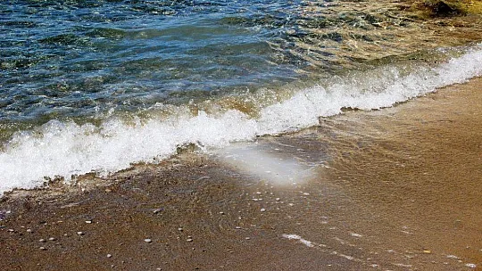 Beyaz kumun zararları gözler önüne serildi