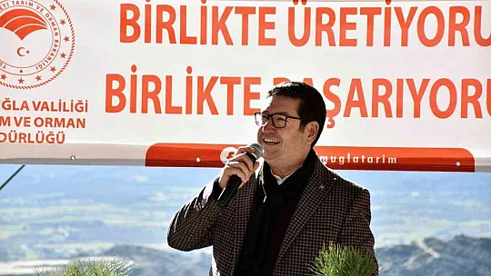 Bin adet çam fıstığı dağıtıldı