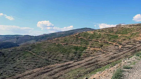 Bir yıl önce yanan saha havadan görüntülendi