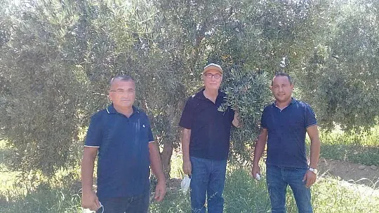 Bitki besleme ve akdeniz sineği zararlısına dikkat