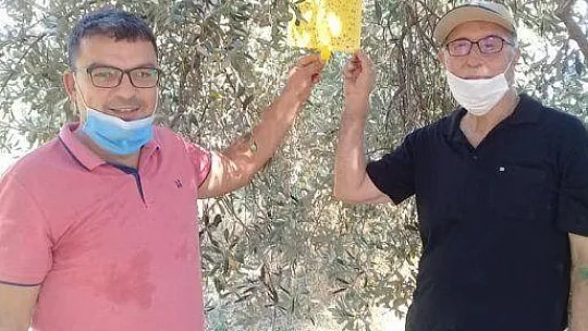 Bitki besleme ve akdeniz sineği zararlısına dikkat