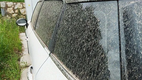 Bodrum'a çamur yağdı, oto yıkamacılarda yer kalmadı