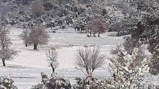 Bodrum'a yıllar sonra kar yağdı