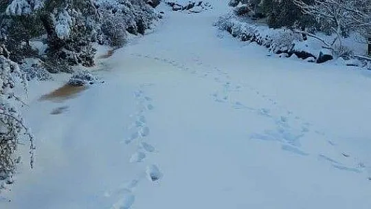 Bodrum'a yıllar sonra kar yağdı