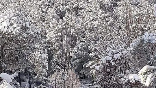 Bodrum'a yıllar sonra kar yağdı