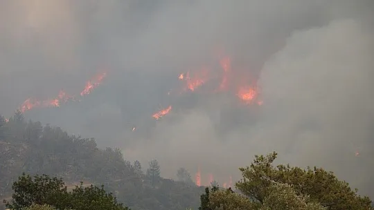 Bodrum Belediye Başkanı Aras, ekibiyle yangın mahallinde çalışıyor