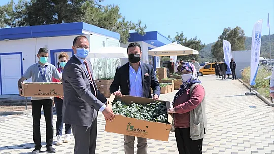 Bodrum Belediyesi 154 bin yazlık fideyi üreticilere hibe etti